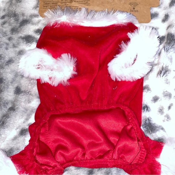 Pup Crew Dog Outfit - Picture 7 of 9